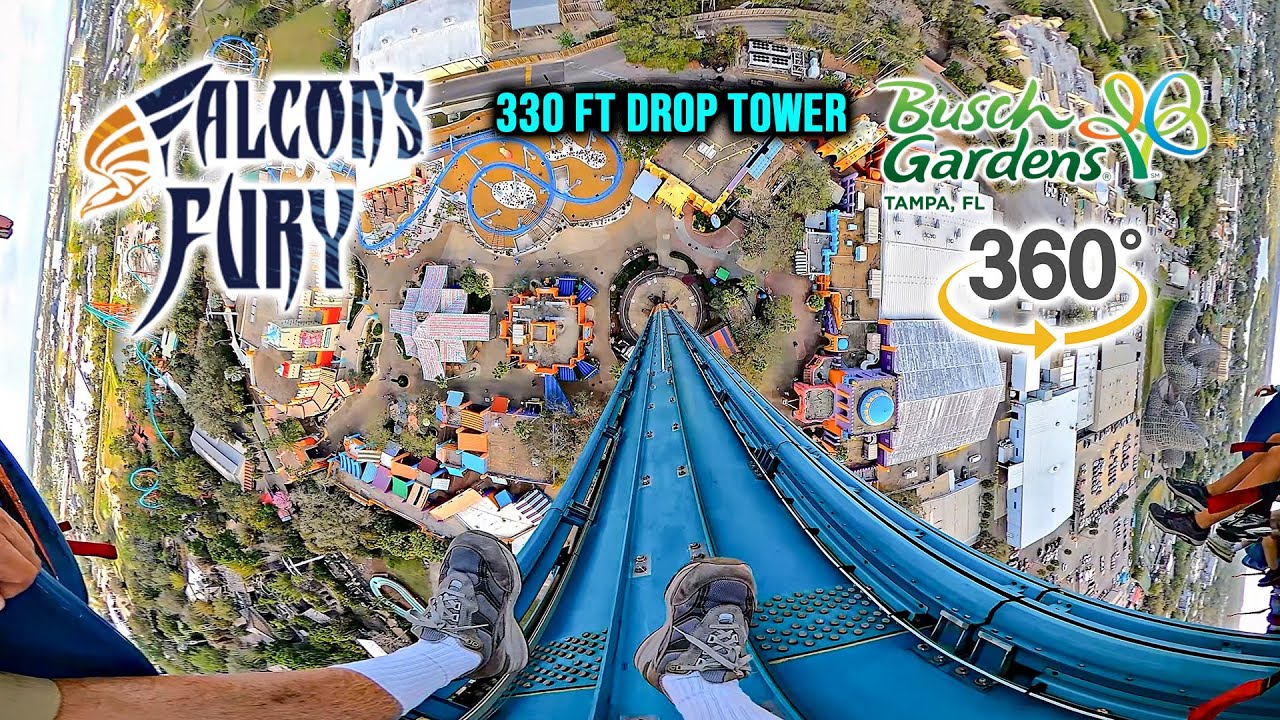 VR 360 Falcon's Fury 335 ft Drop Tower On Ride POV Busch Gardens Tampa 2025 03 04