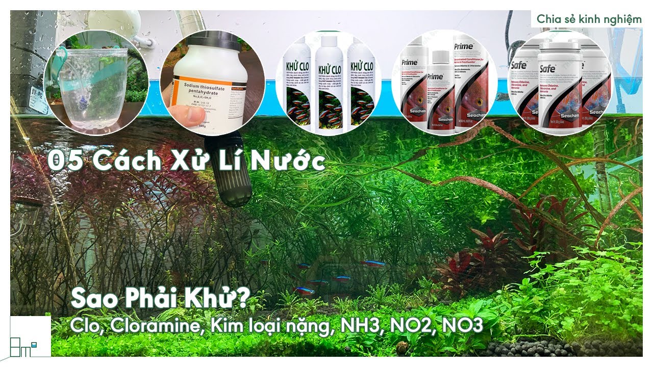 Sao Phải Khử Clo, Cloramine, Kim Loại Nặng, NH3, NO2, NO3 Trong Nước Máy/Giếng? 05 Cách Xử Lí Nước