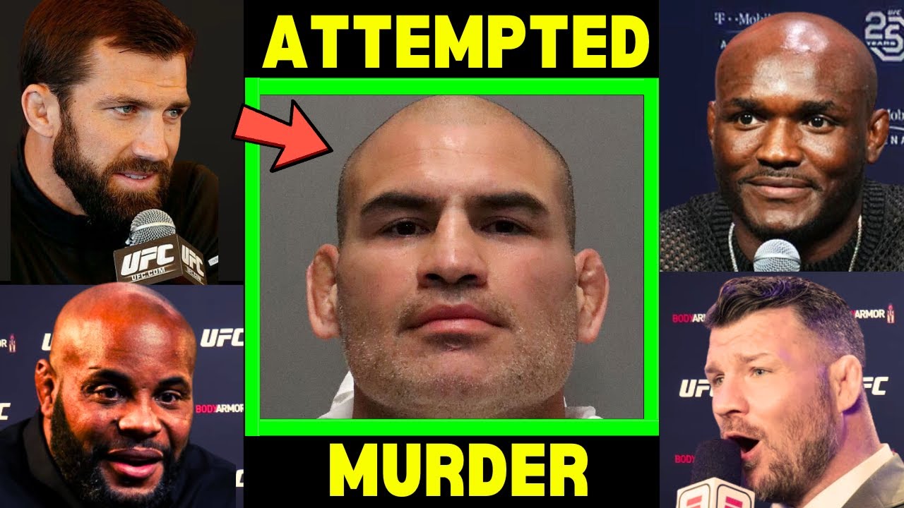 UFC Fighters 