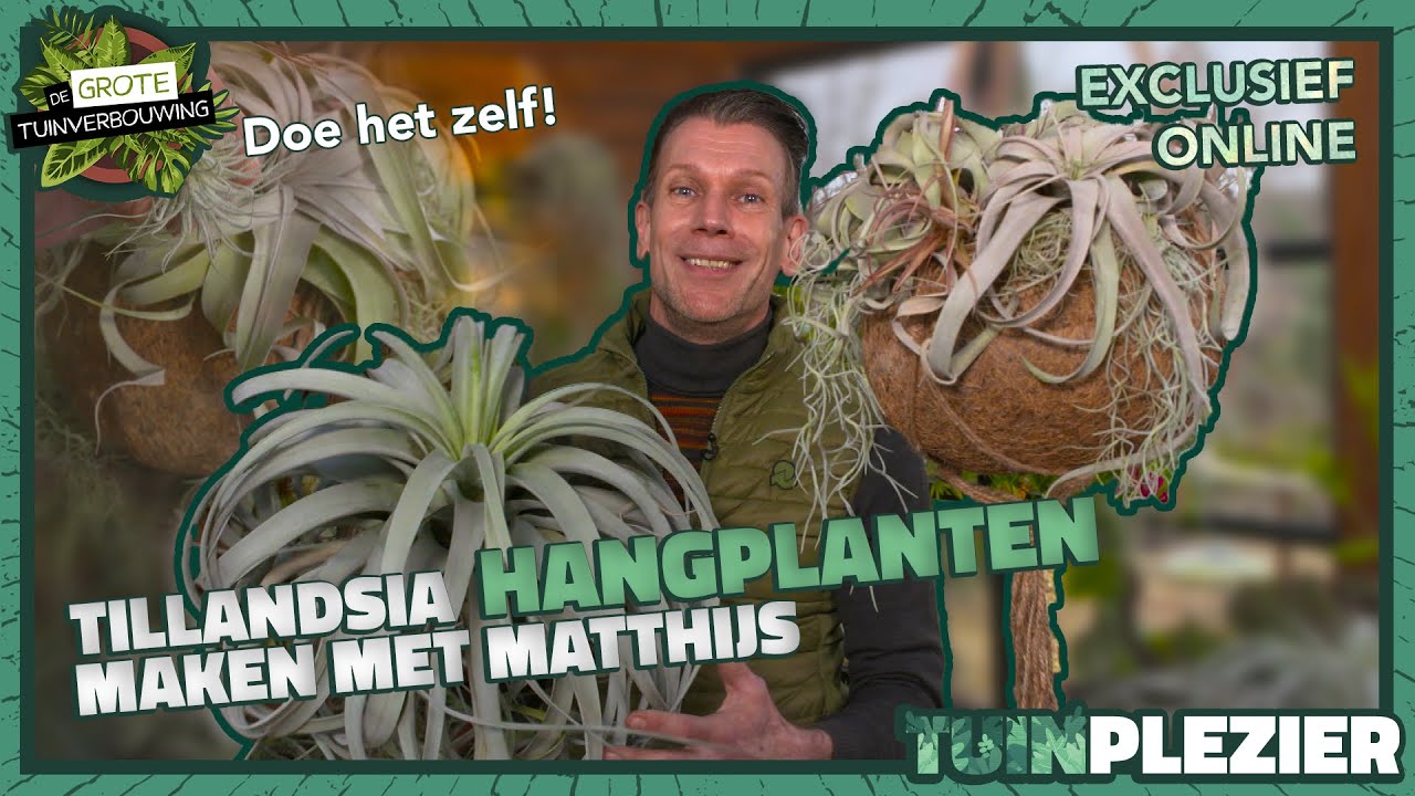 Maak je EIGEN unieke Tillandsia-hangplant🌿 Matthijs DIY | De Grote Tuinverbouwing | Tuinplezier🪴
