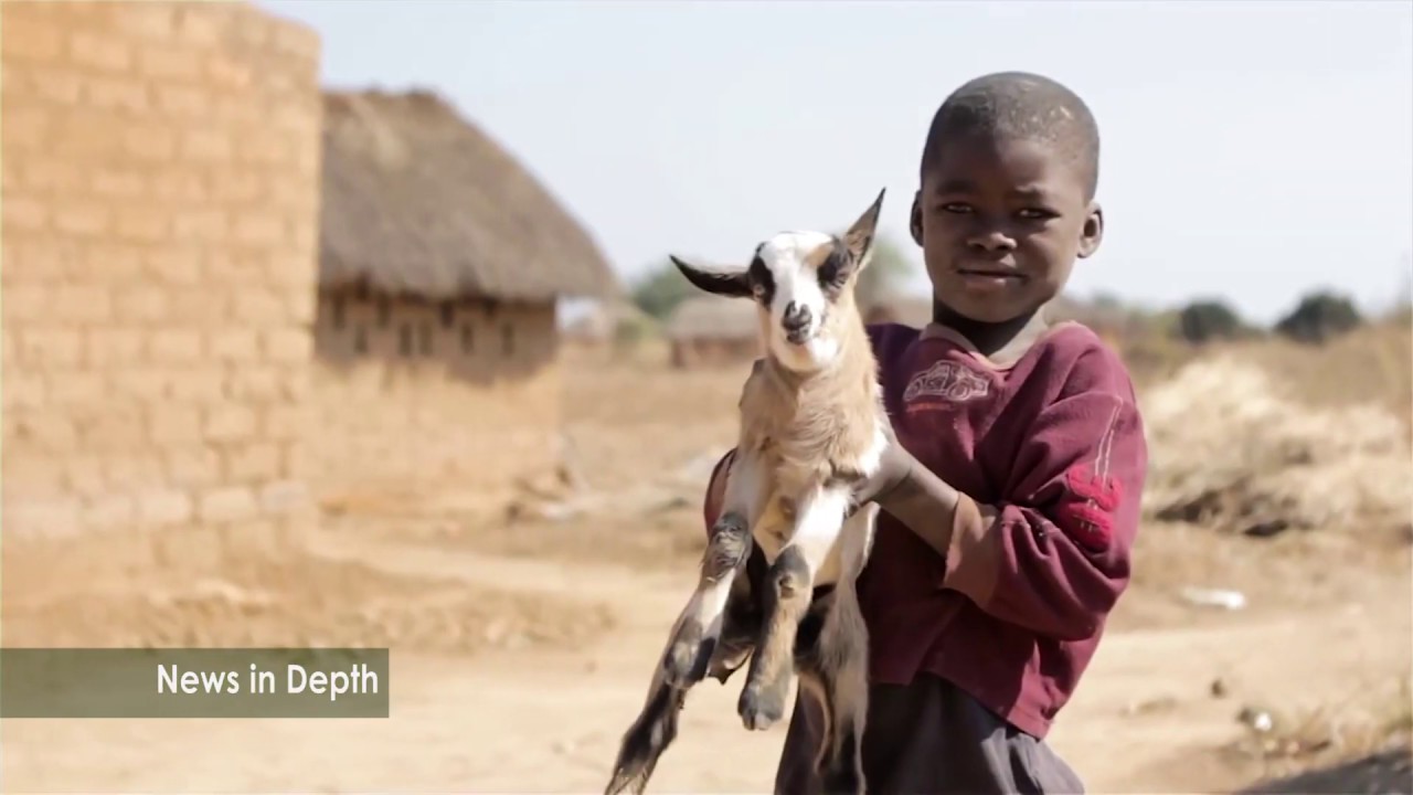 REFUGEE INTEGRATION  IN ZAMBIA