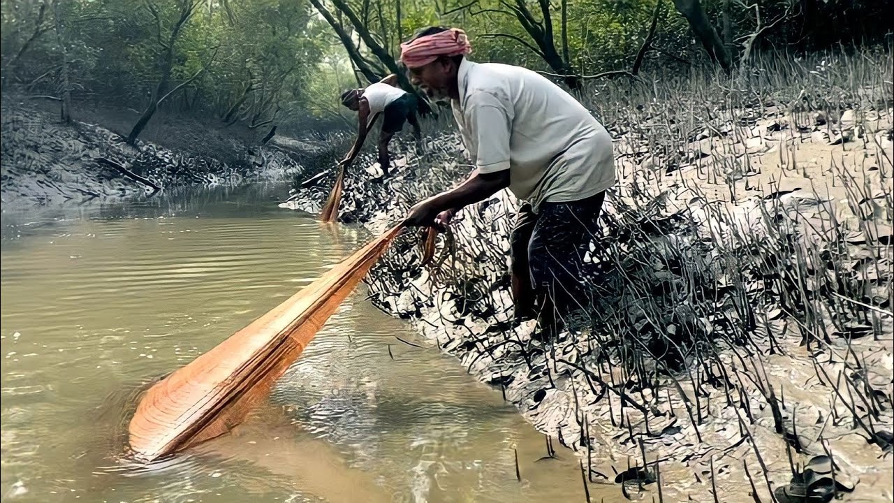 traditional hook 🎣 in Sundarban !!! net fishing !!!