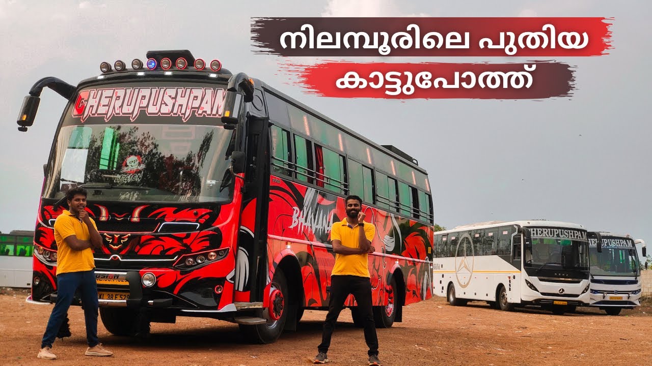 നിലമ്പൂർ തേക്കിൻ കാടിനിടയിൽ ഒരു കാട്ടുപോത്ത്'Legion'🔥 |Cherupushpam Tours and Travels🥳