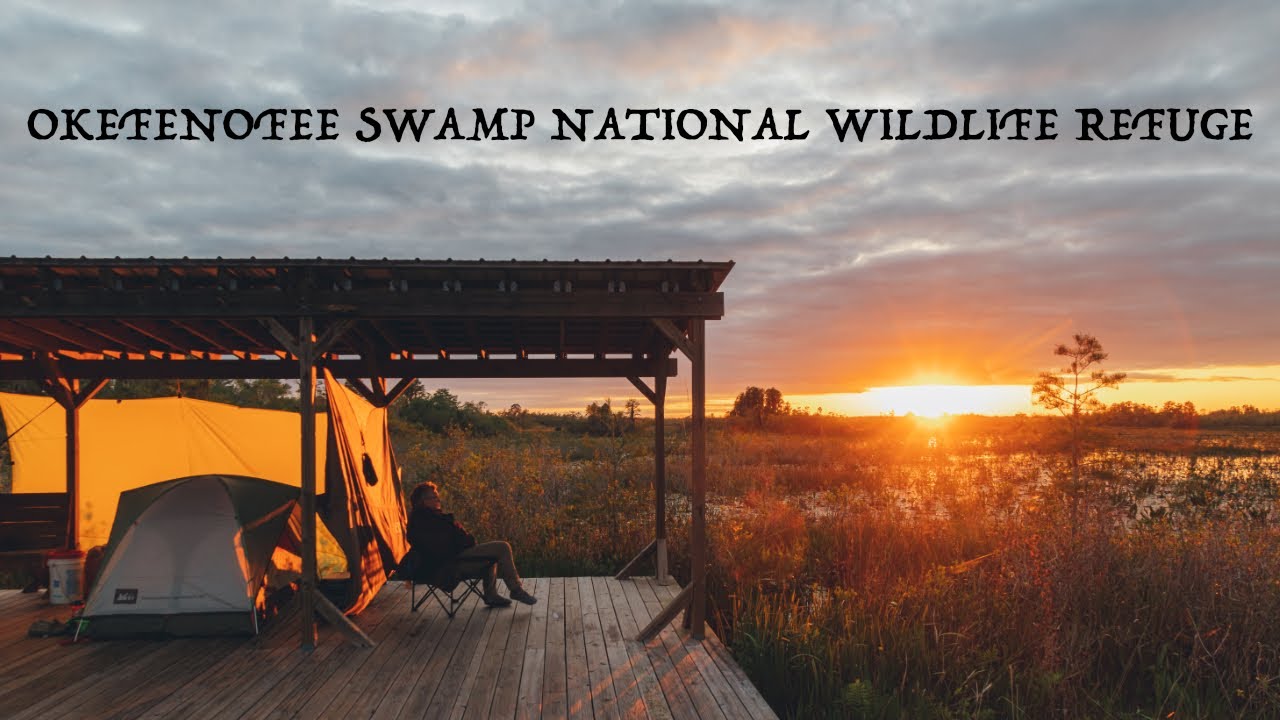 Okefenokee Swamp Canoe Trip | 2021