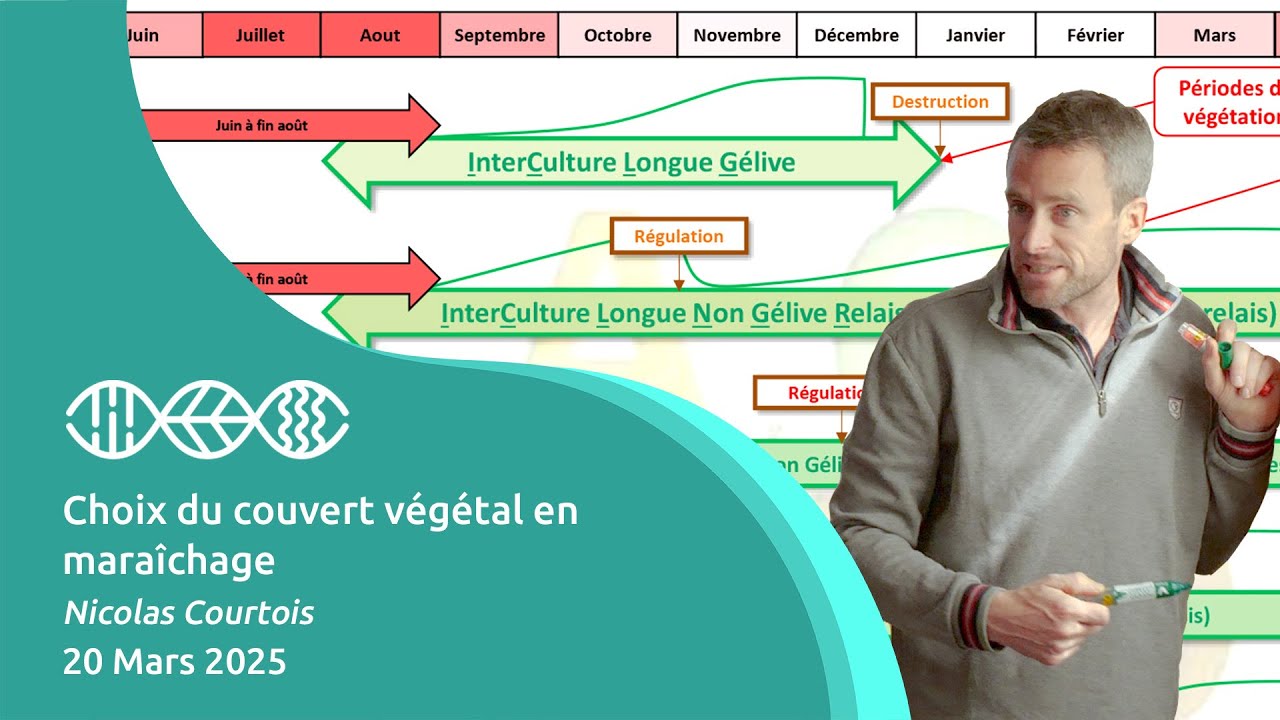 Choix du couvert végétal en maraîchage - Nicolas Courtois - 20 Mars 2025