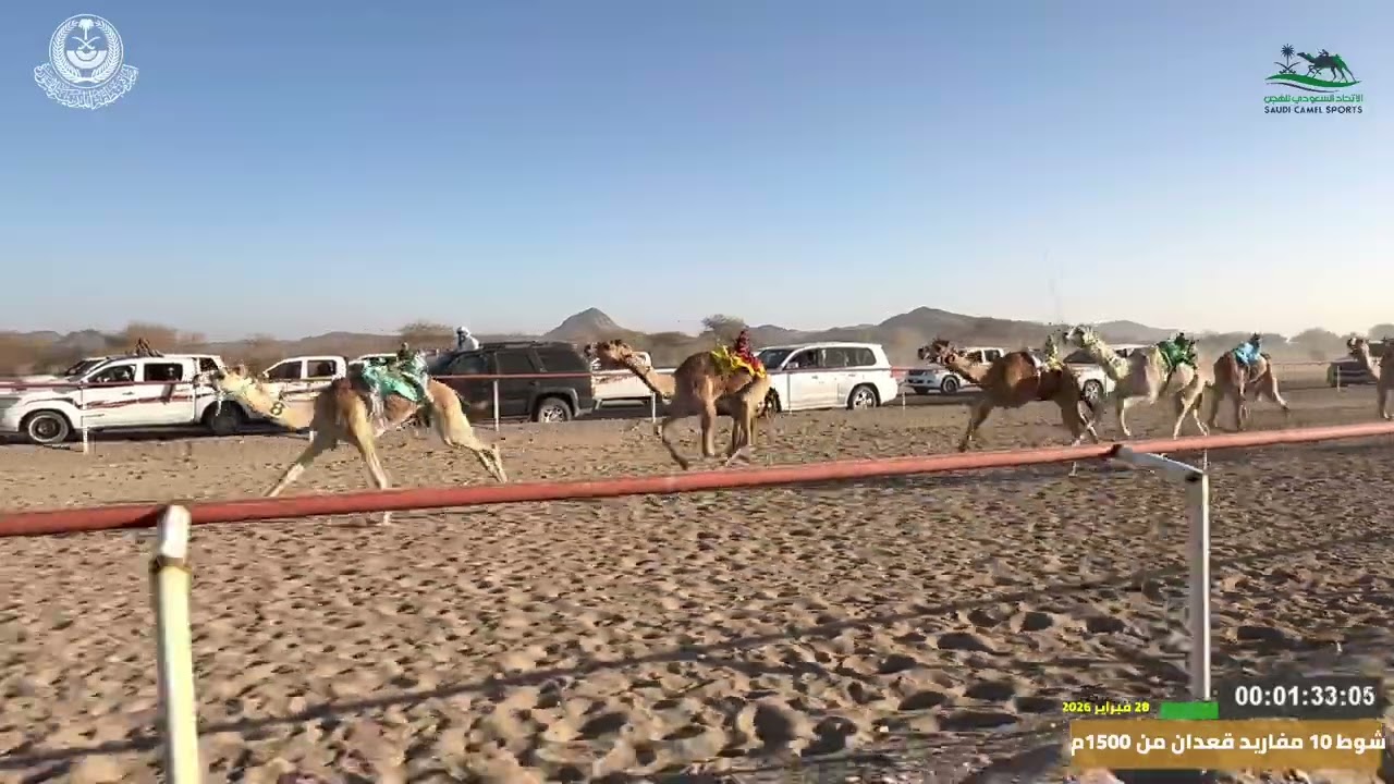 مهرجان ميدان اليتمه لسباق الهجن الاول  الشوط 10 مفاريد قعدان  من 1500م الخفجي لـ بدر عليان القويعاني
