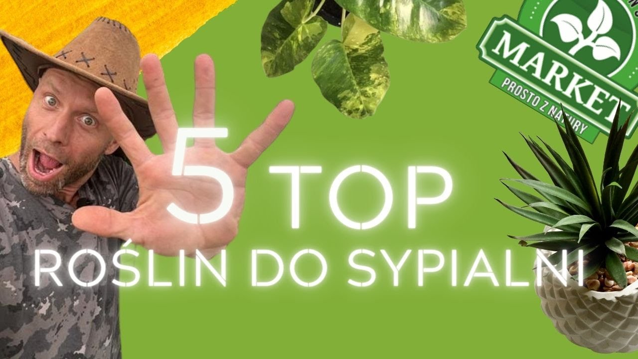 TOP 5 ROŚLIN DO SYPIALNI 🌿Z BONUSEM. Które rośliny wytrzymają suszę?🔥