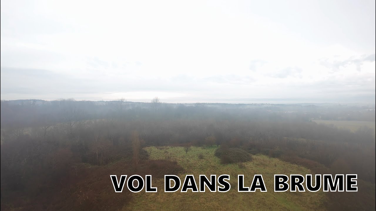 Vol dans la brume.