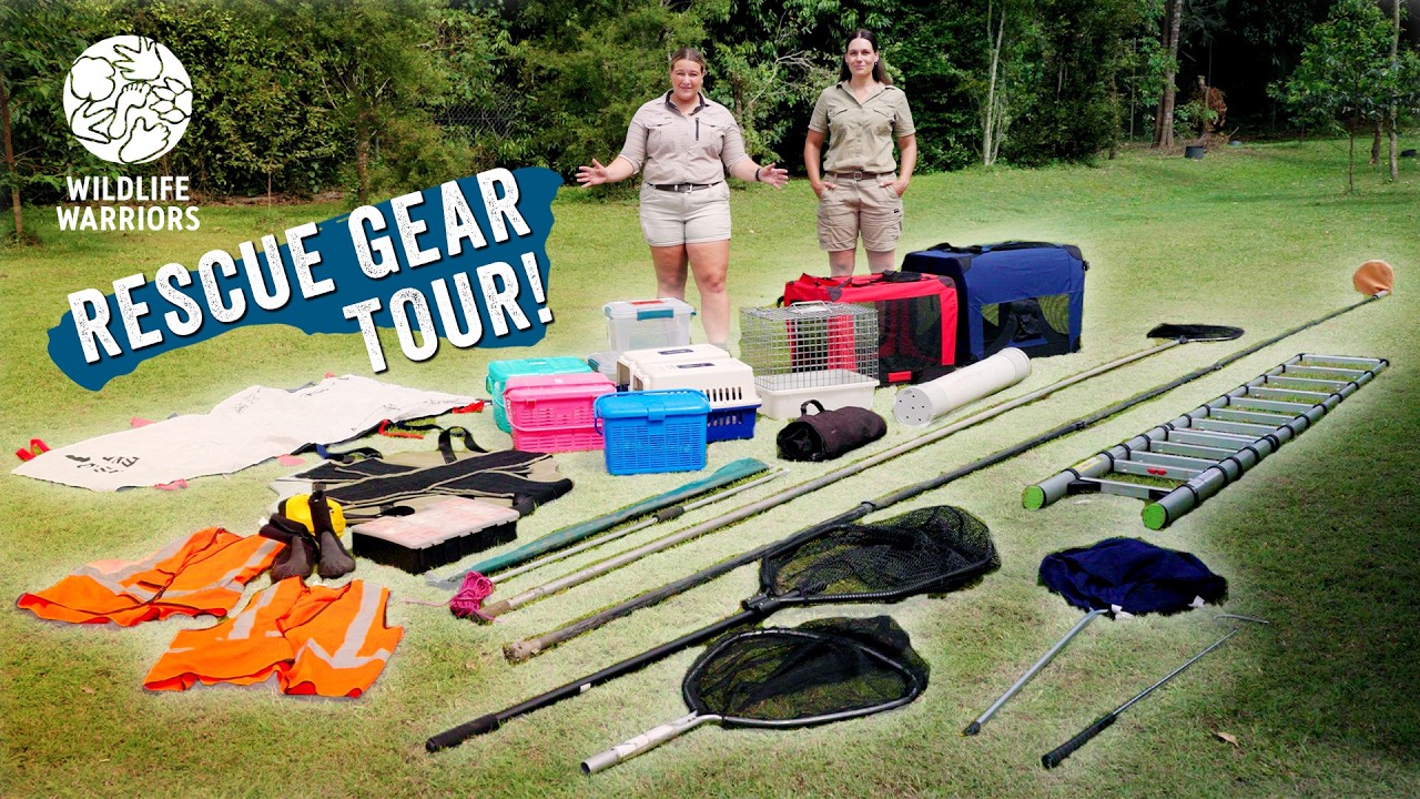Saving Wildlife Takes A Lot Of Equipment! | Wildlife Warriors Missions