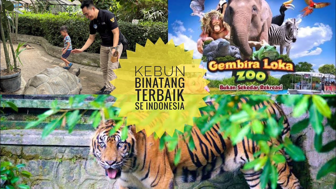 Eksplore Gembira Loka Zoo Jogja | Kebun Binatang Terbaik Indonesia