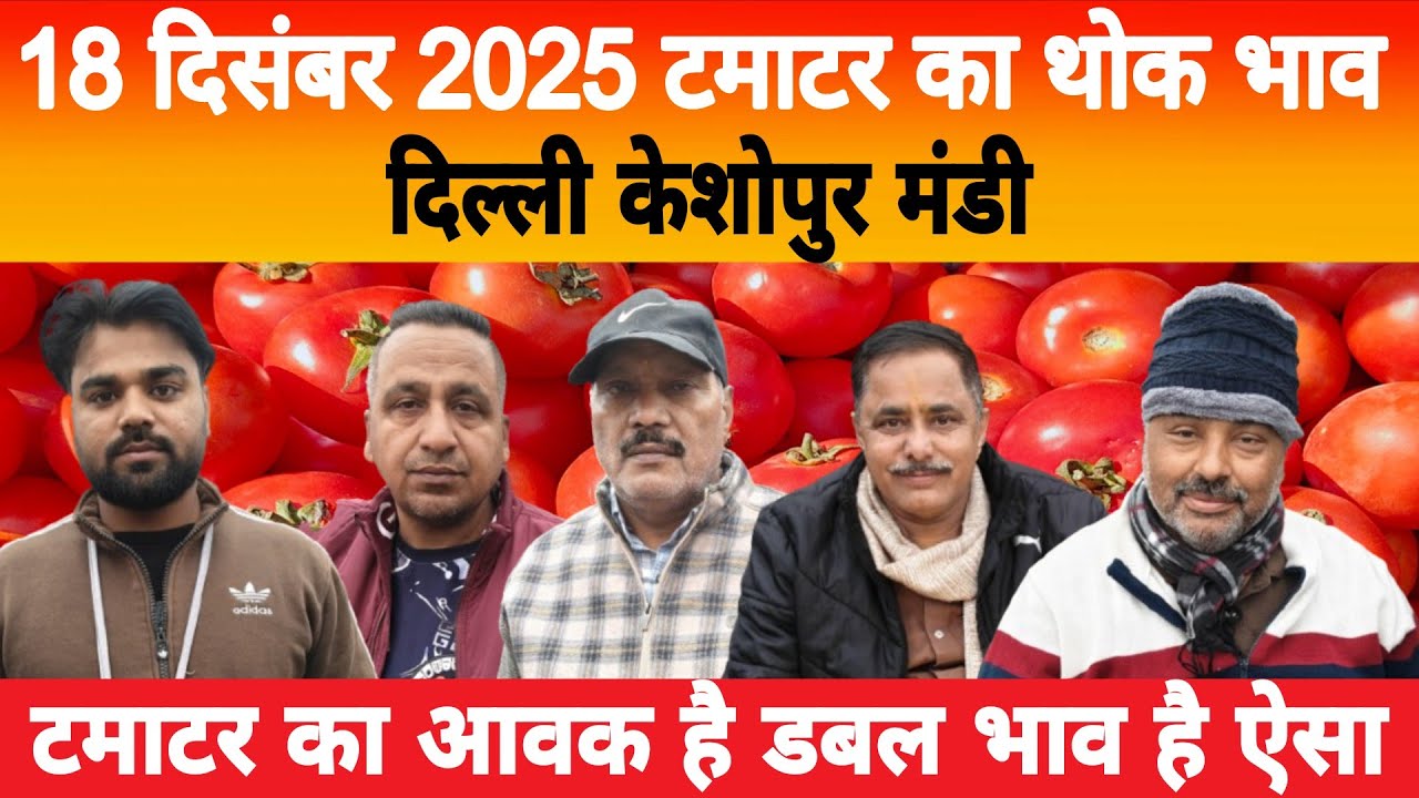 18 Dec 2025 Delhi 🍅 टमाटर होलसेल भाव | Keshopur Mandi | Today Tomato Rate #tamatar #tamatarmandi
