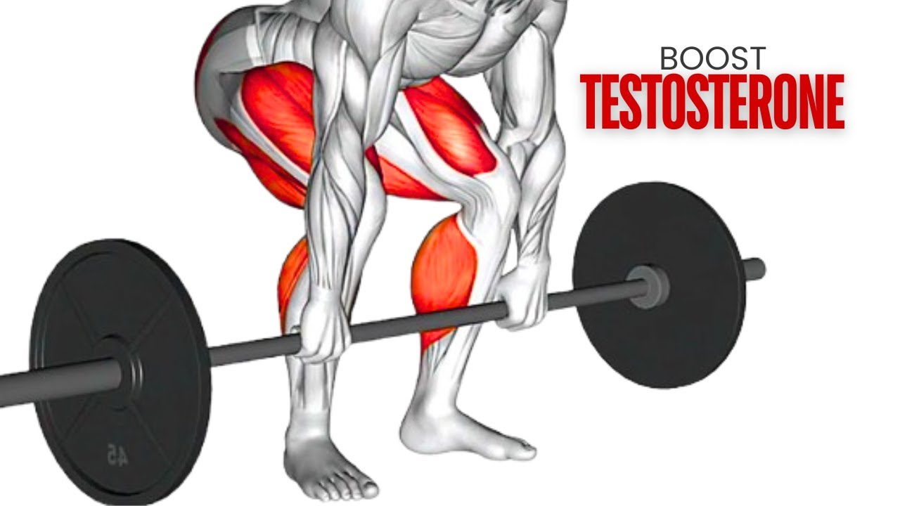 10 Best Barbell Exercises for Testosterone Boosting Workout