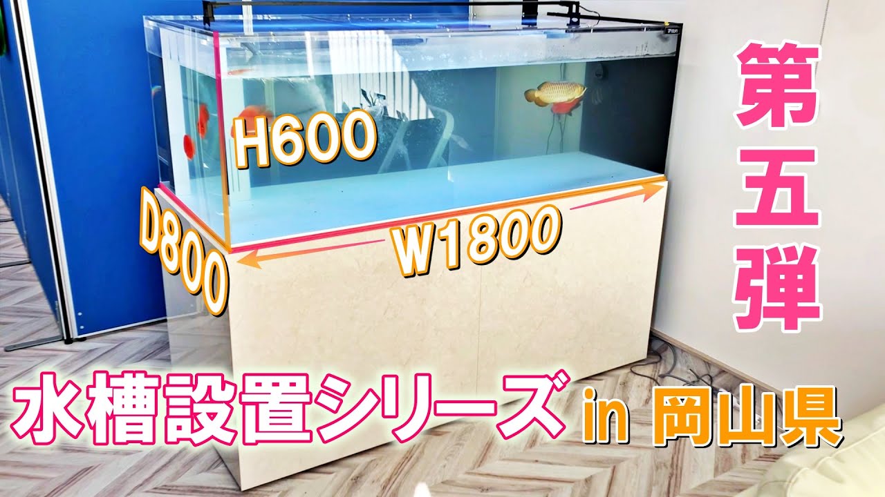 【水槽設置シリーズ】1800水槽設置 in 岡山県