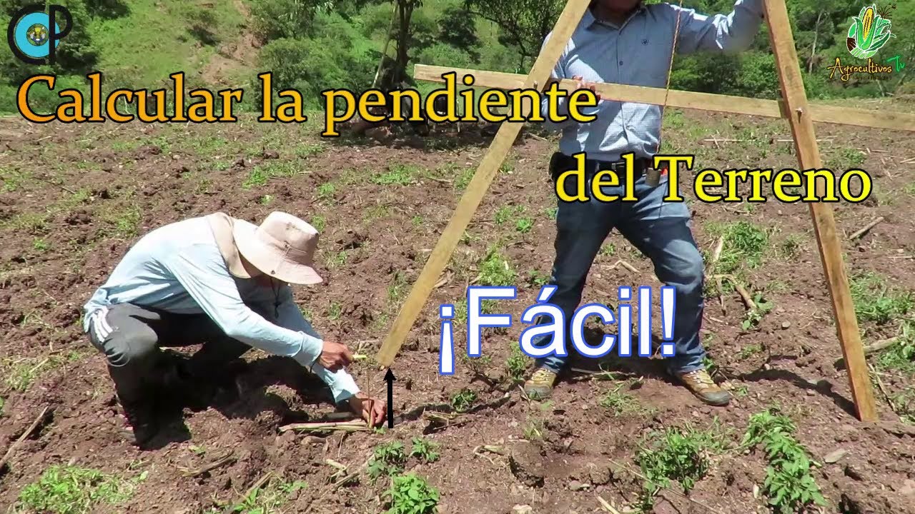 #5. Cómo Calcular la Pendiente de un Terreno| SEMBRANDO VIDA | MIAF