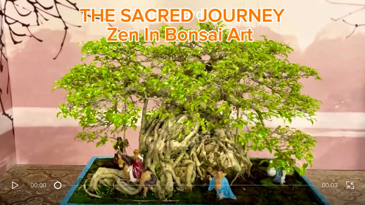 The Road to Western Paradise: A Zen Journey Through Bonsai Art
