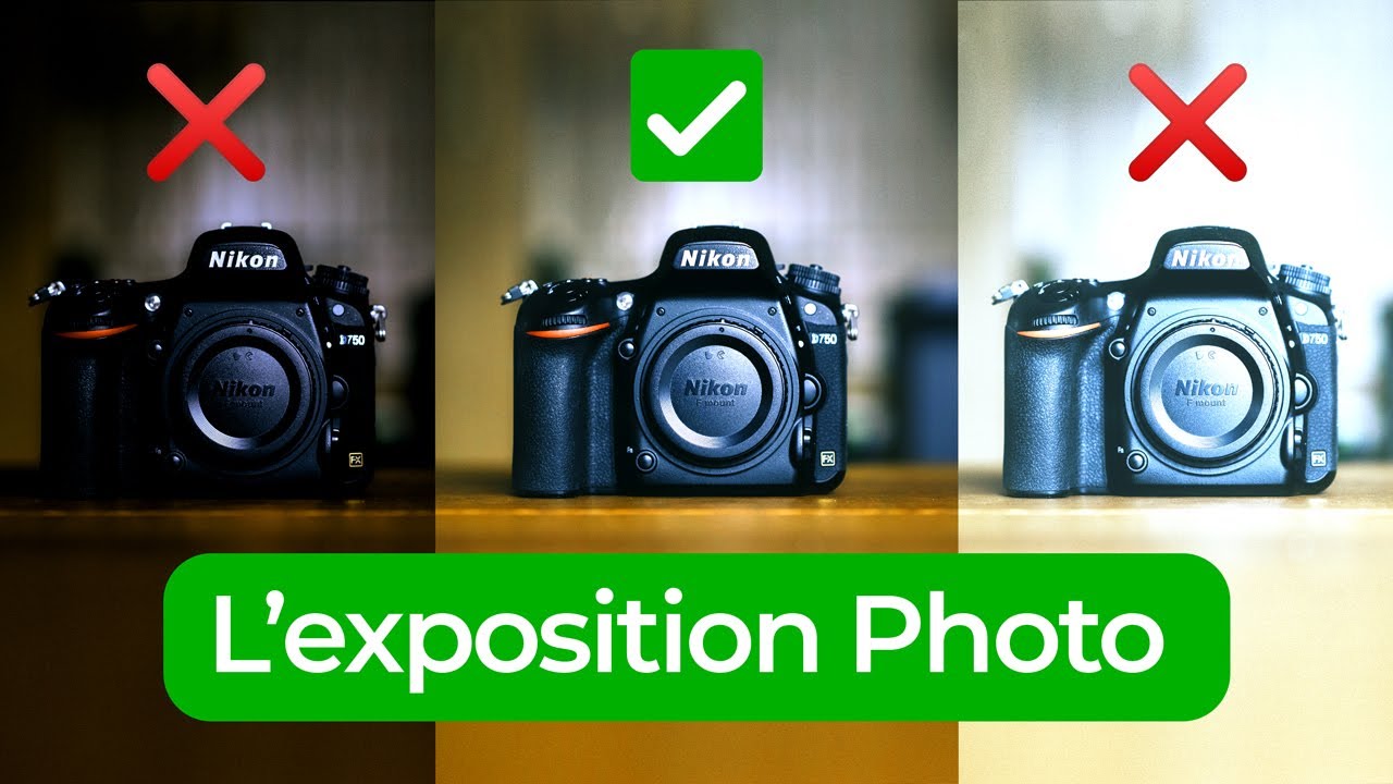 The Exhibition - The Basics of Photography #1
