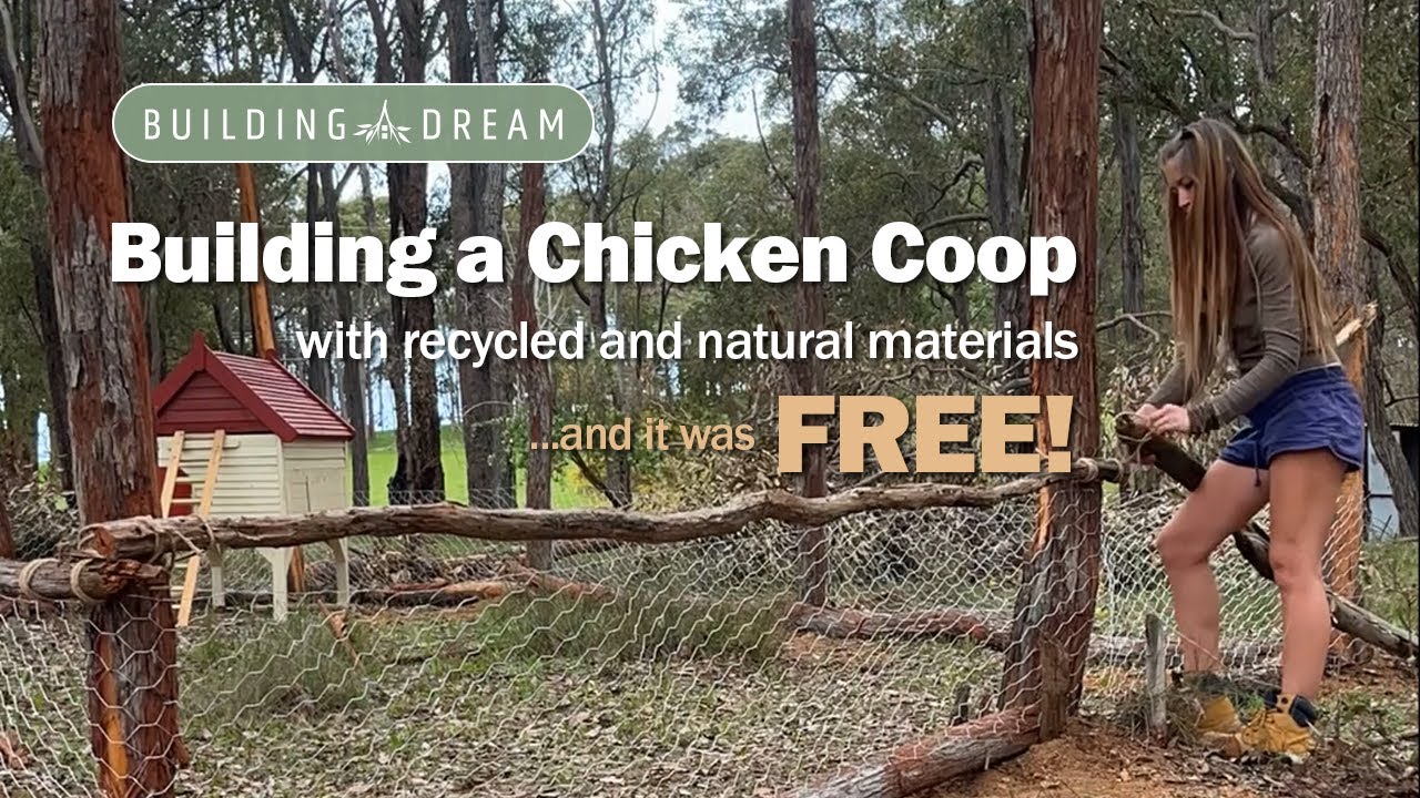 Building a chicken coop with recycled and natural materials for free!