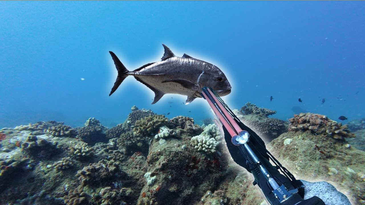 HUGE MISTAKE SPEARFISHING GIANT FISH!