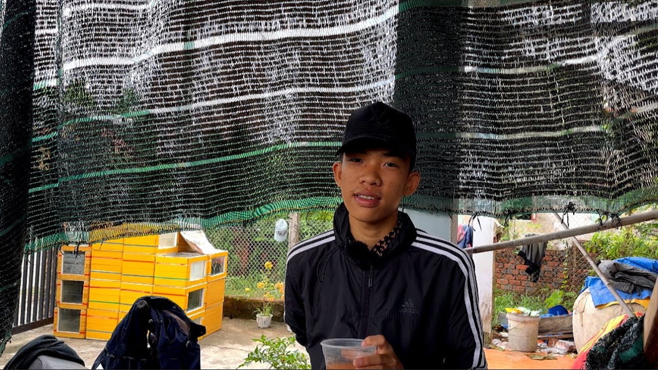 Hoàn cảnh gia đình khó khăn nhưng Chàng Trai 17 tuổi vẫn theo đuổi đam mê nuôi Cá Bảy Màu
