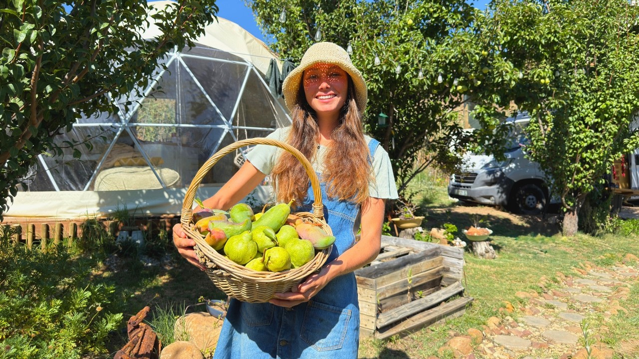 Summer Fruit Harvest: Picking Pears, Papples and Mangos on our Homestead