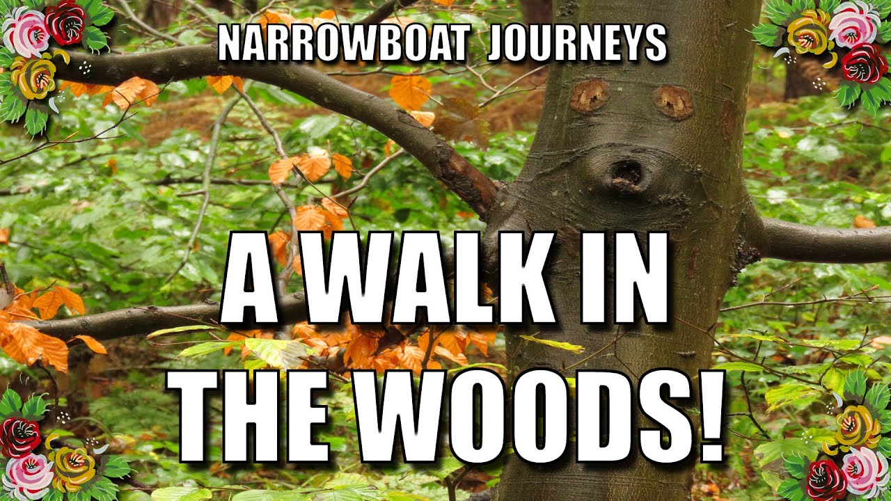 An Autumn walk to Hartshill Hayes Woods and Oldbury Quarry from the Coventry Canal.