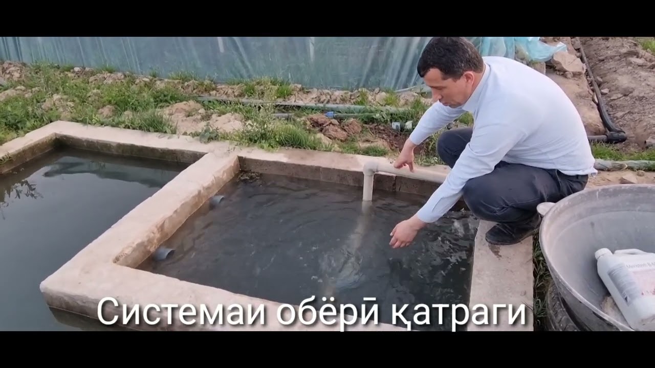 Системаи капелни орошени. Системаи обёрӣ қатраги.