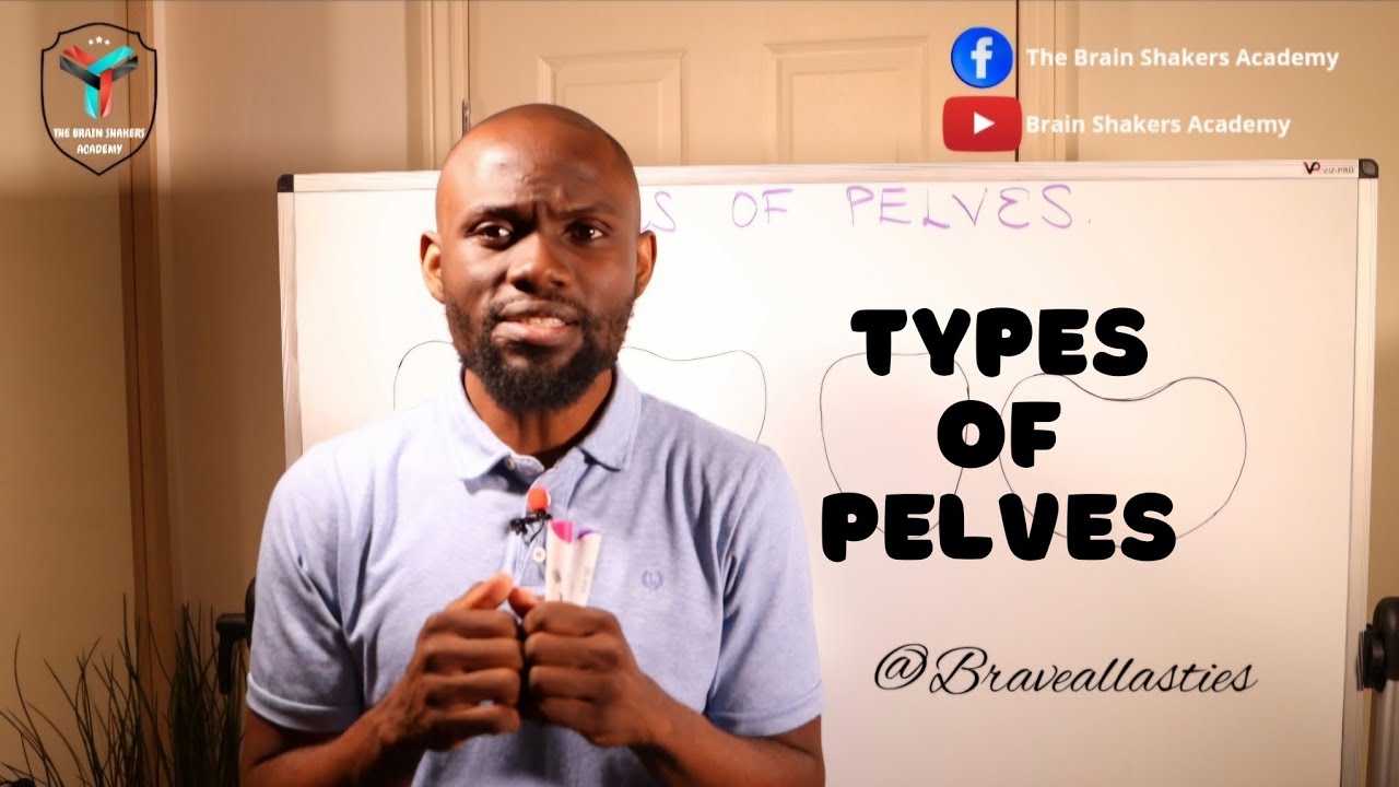 TYPES OF PELVES - Gynaecoid, Android, Anthropoid and Patypelloid