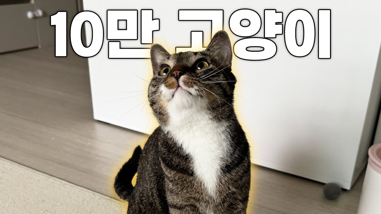 기어코 여기까지 와버렸습니다...