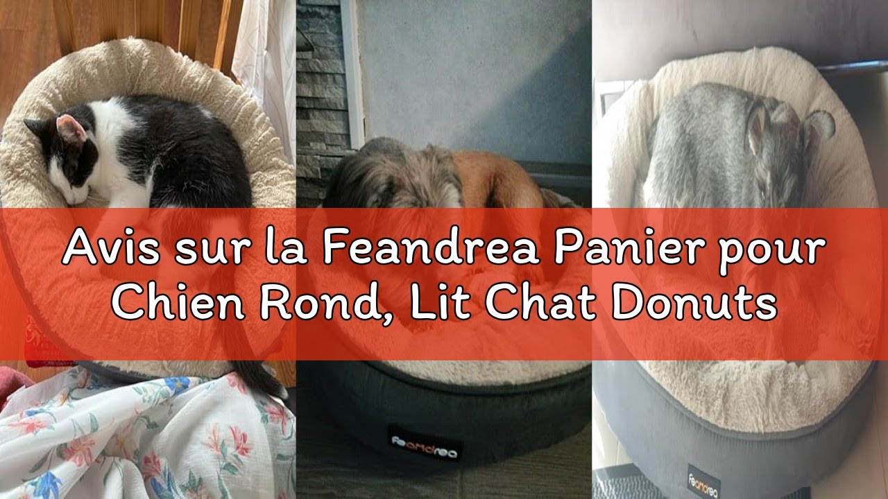 Avis sur la Feandrea Panier pour Chien Rond, Lit Chat Donuts, ø 50 cm, Gris Clair PGW050G01