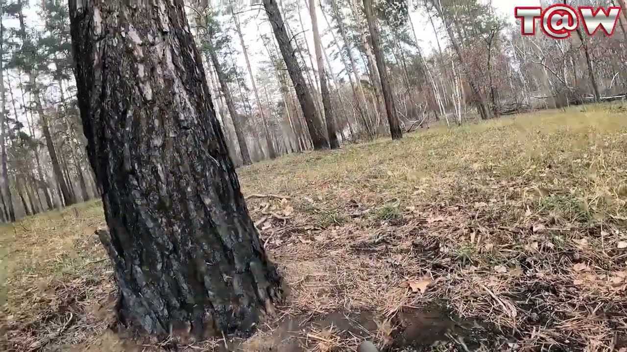 Ukrainian forces step forward to reclaim their land. 
