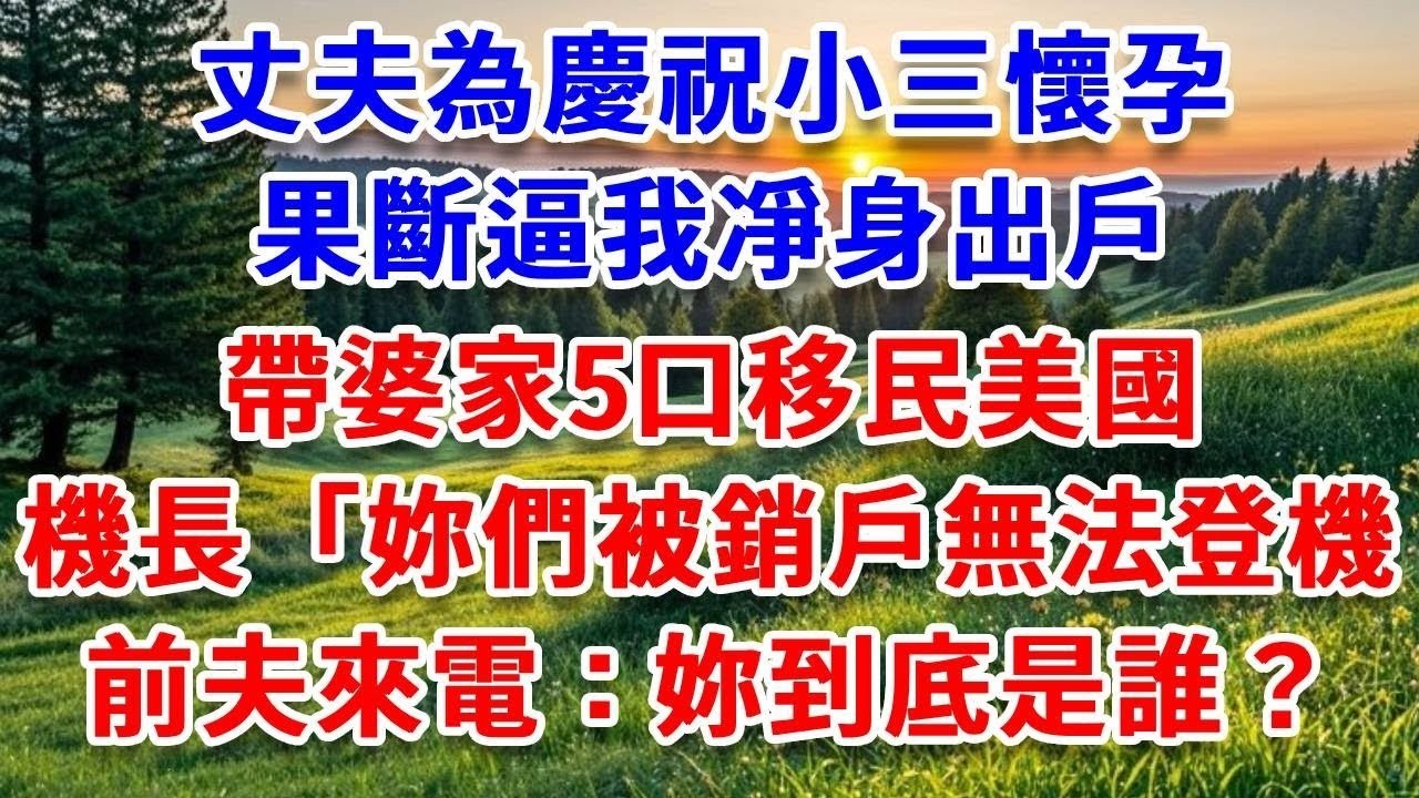 夫為慶祝小三懷孕，果斷逼我凈身出戶，帶婆家5口移民美國，機長「妳們被銷戶了無法登機」前夫打我66通電話：妳到底是誰？#詩涵講故事#為人處世#生活經驗#情感故事#晚年哲理#說故事#完結文#原創故