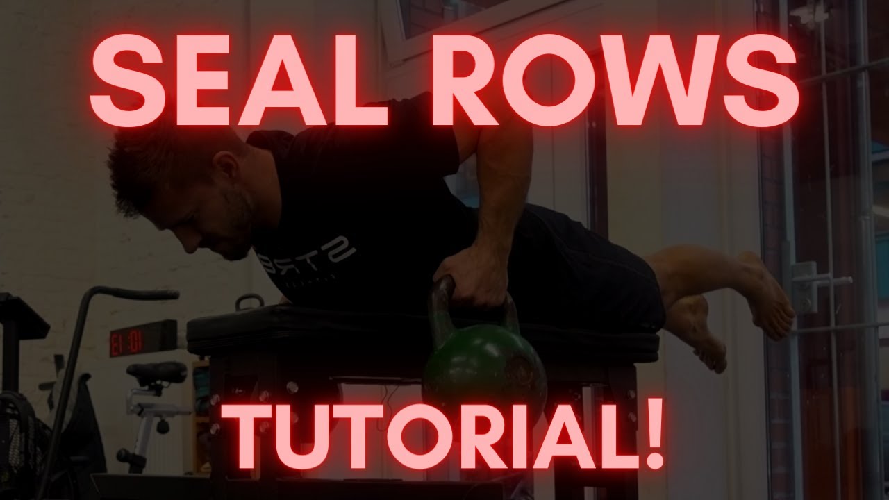 Seal Rows / Bench Rows - So triffst du den Rücken richtig | Tutorial