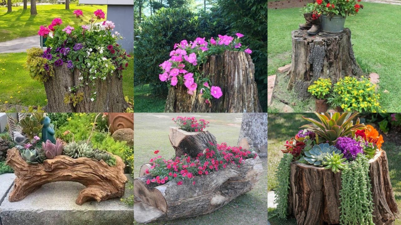 Wood Stump Crafts: Creative Ideas to Repurpose Tree Stumps that add rustic charm