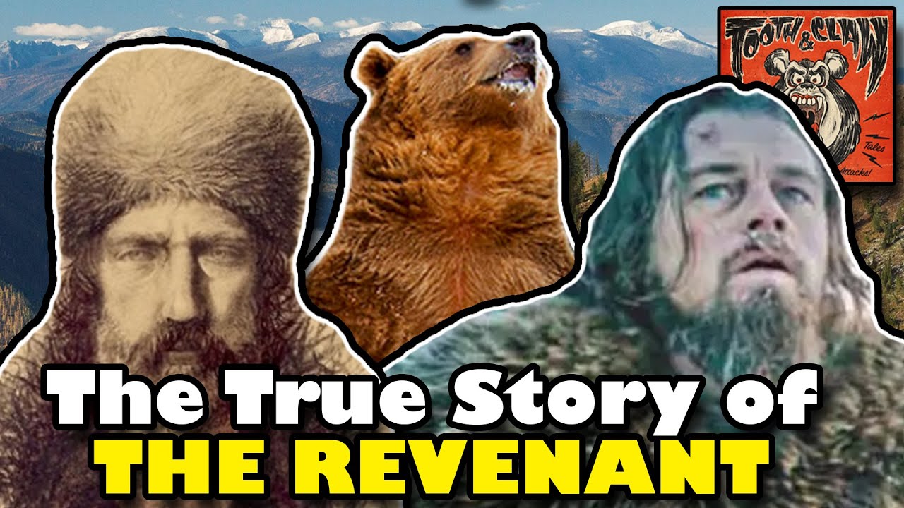 The Revenant: The Man and the Bear Who Inspired the Movie