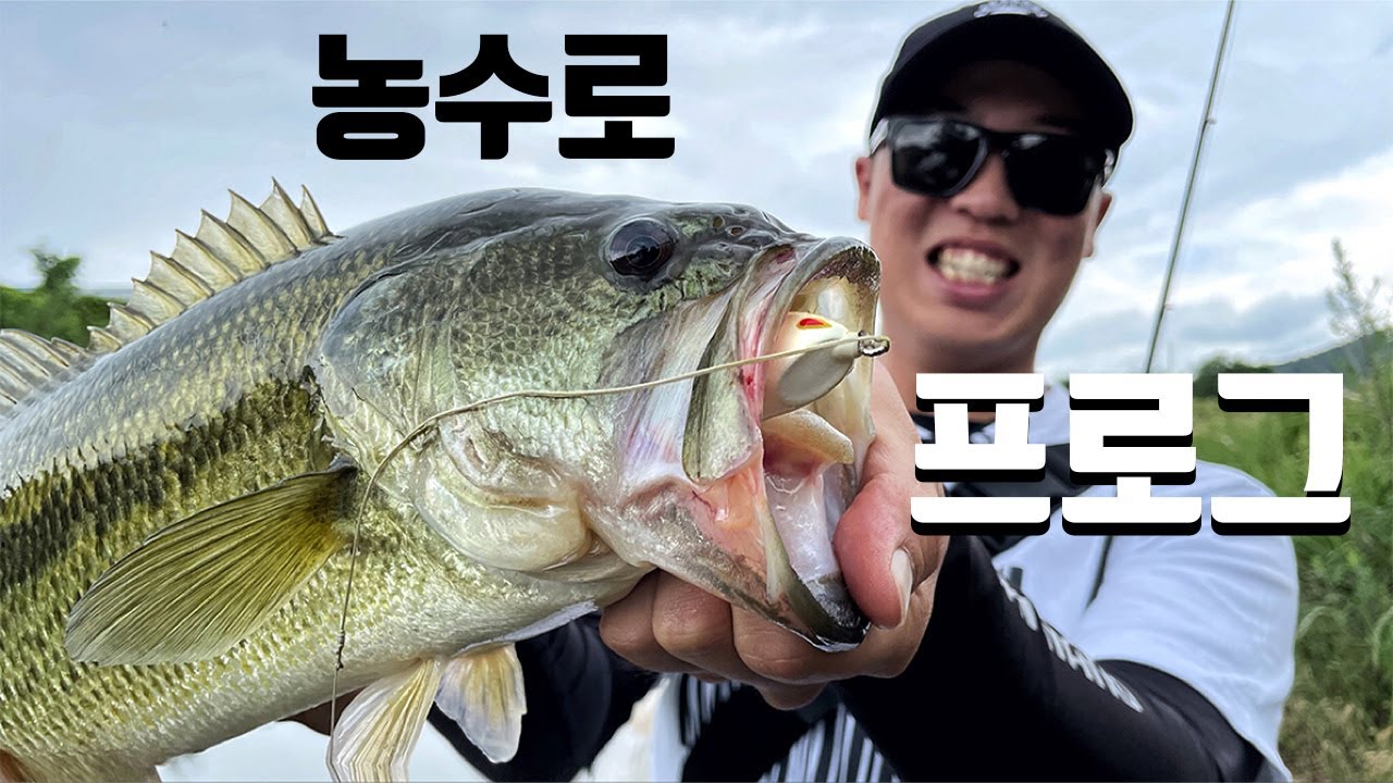 좁은 수로에서 배스 낚시! 프로그 입걸림이 잘 안된다면? [with 신현민]