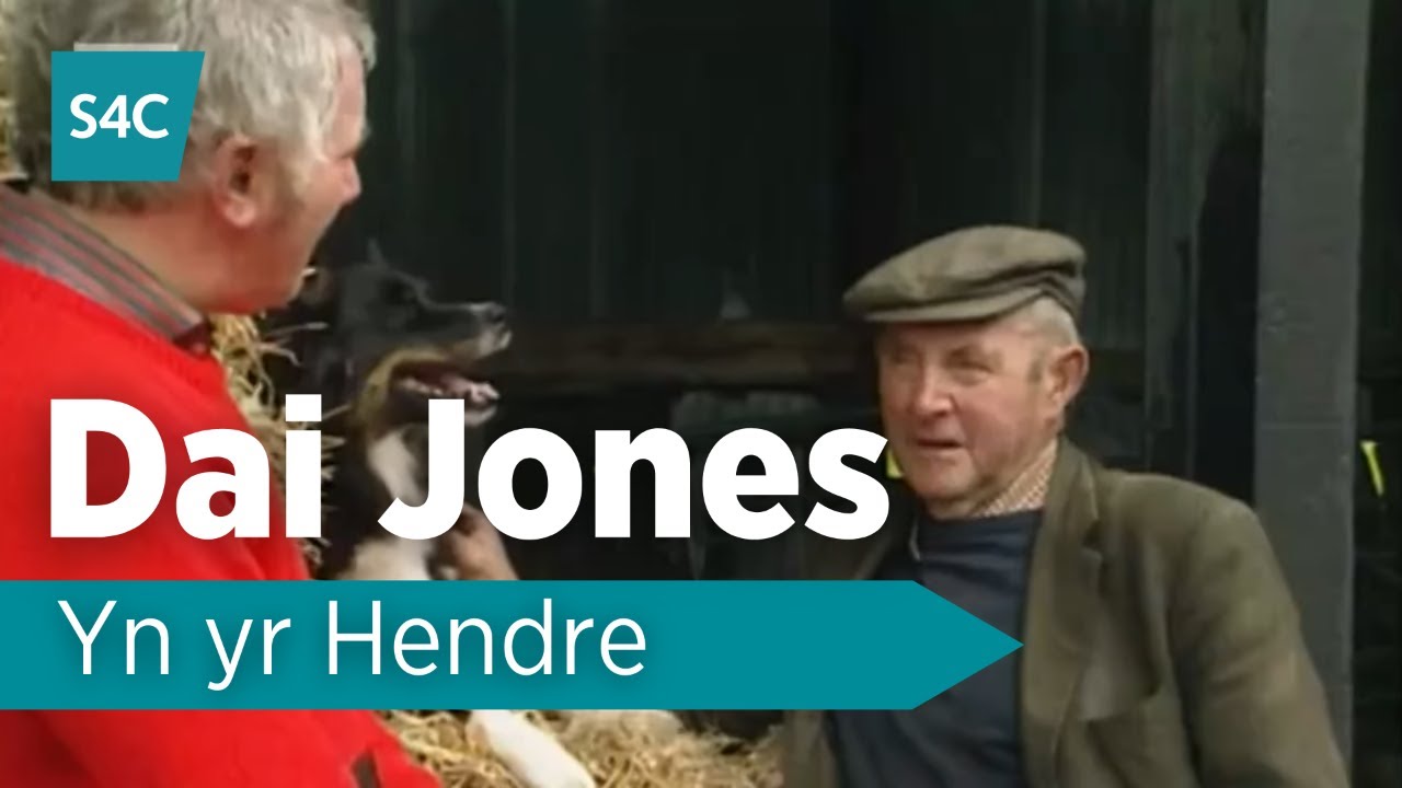 O'R ARCHIF: Dai yn yr Hendre