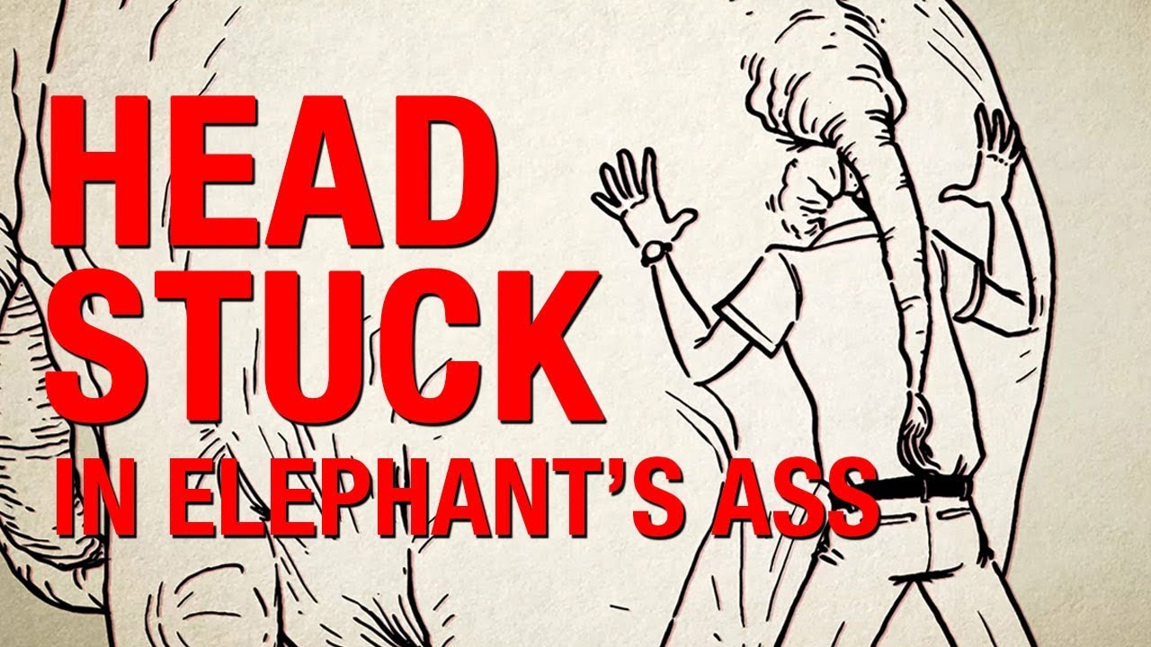 DON'T PANIC: How to survive when your head is stuck in an elephant's ass