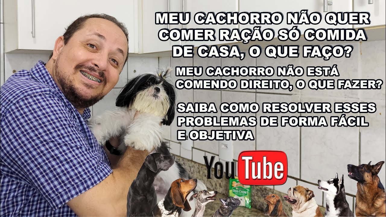 Meu cachorro não quer comer ração só comida, meu cachorro não está comendo, o que devo fazer?