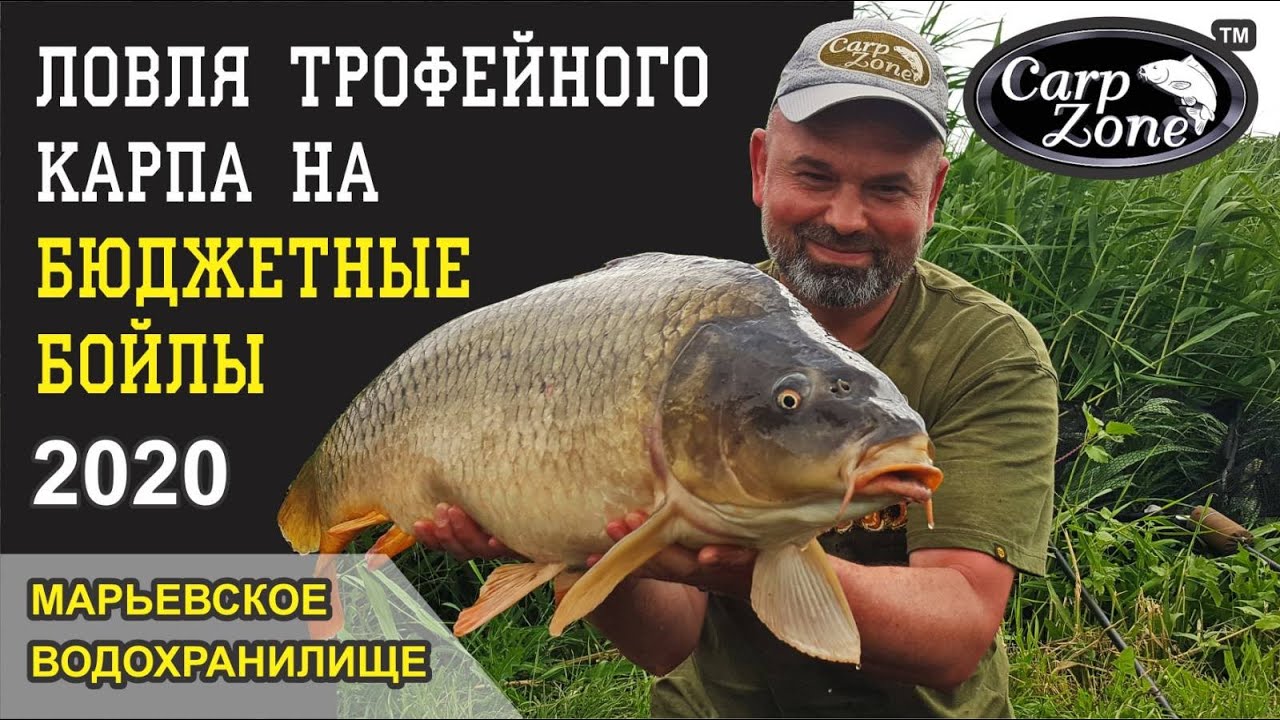 Ловля трофейного карпа на бюджетные бойлы. Карпфишинг в Июне. Марьевское водохранилище.