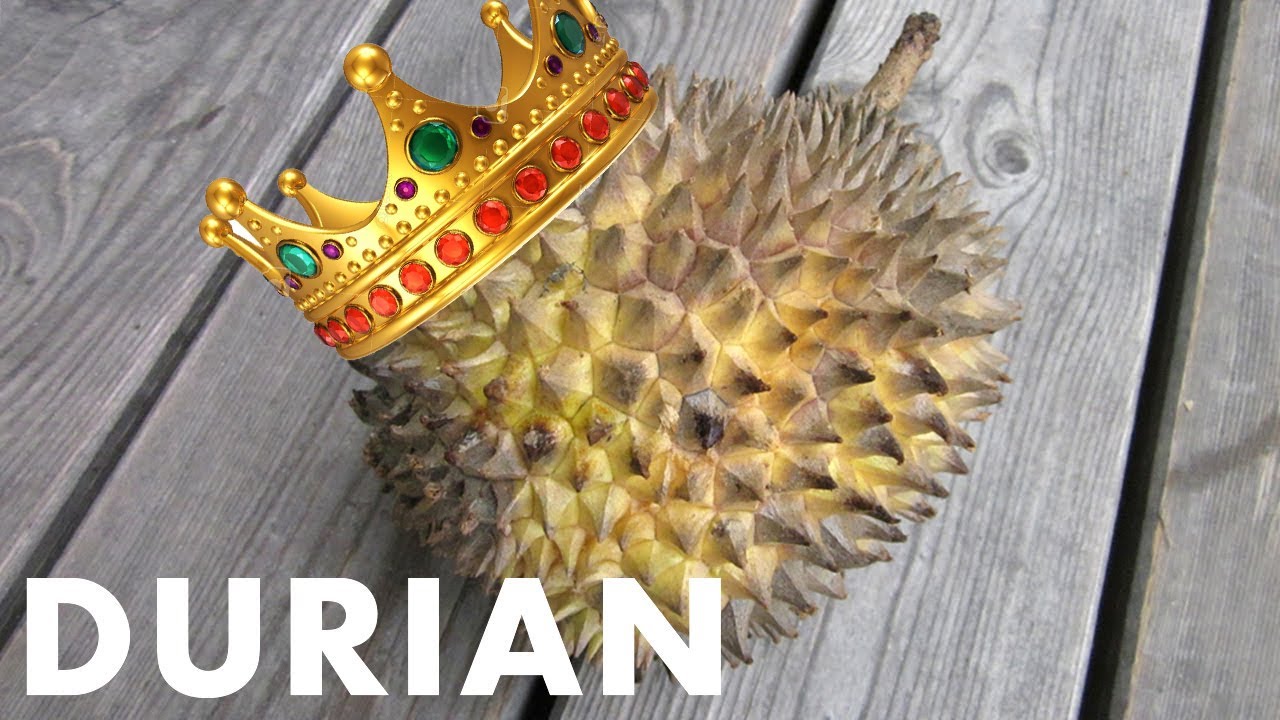 6# Durian - freakyfoodtv