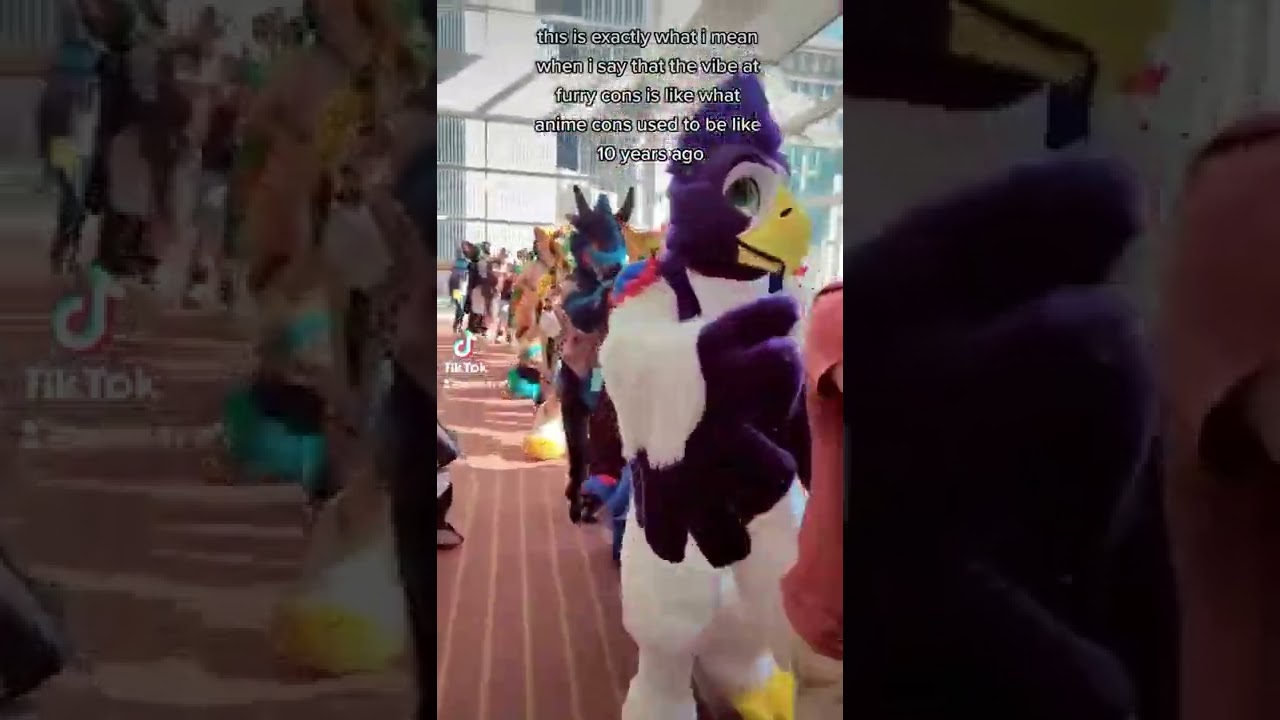 that furry con vibe going strong #furryconvention #anthrocon