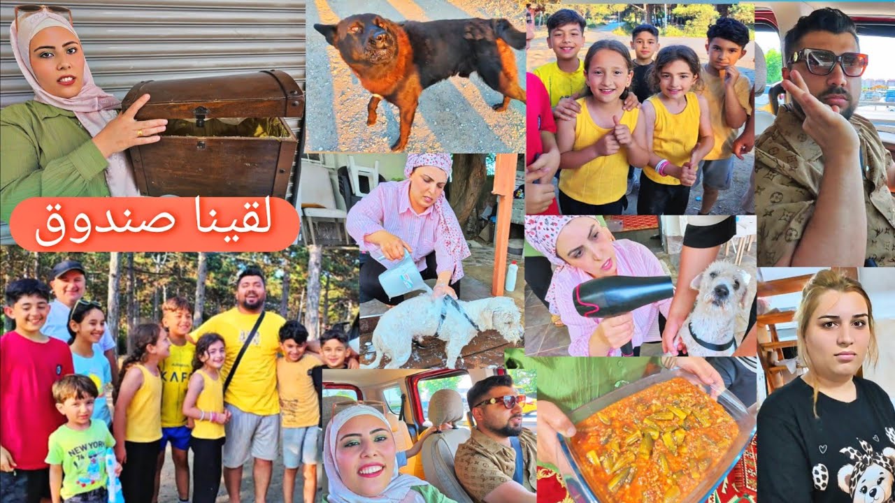 حممنا الكلب😂//خملين طبخت بامية🤢//التقنيا بالمتابعين//لقينا صندوق عالحاوية