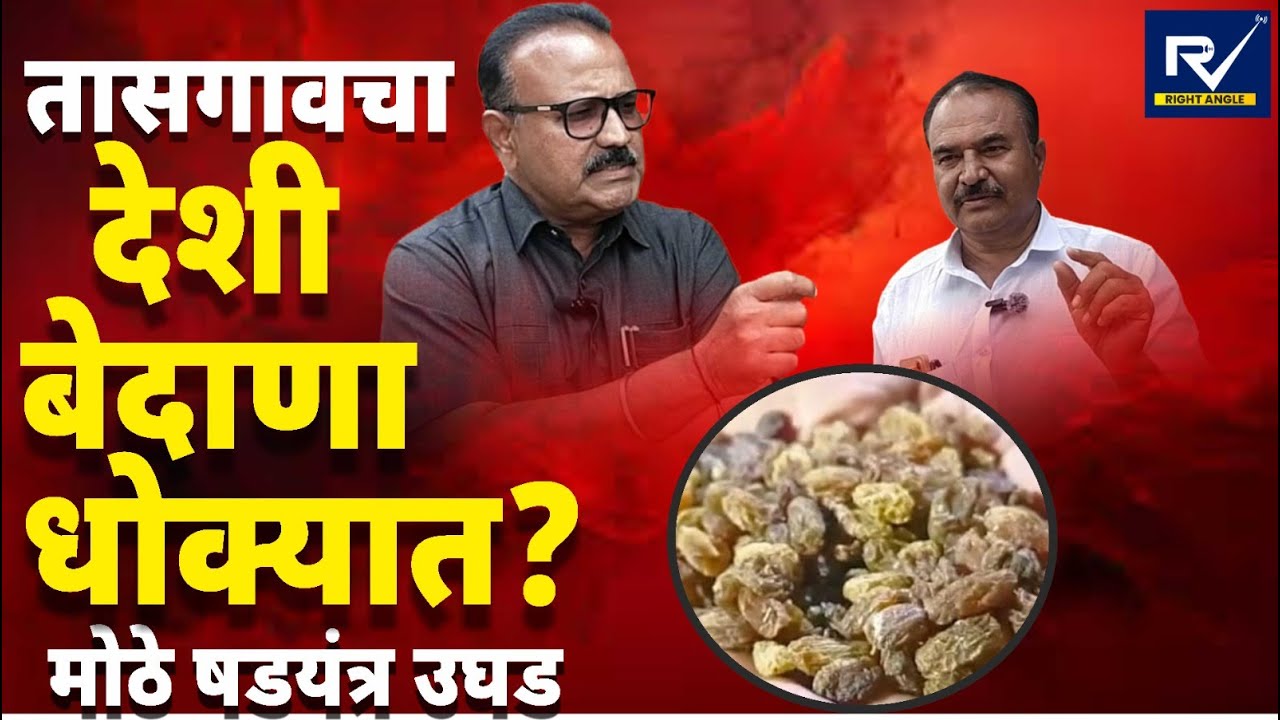 Tasgaon Bedana Scam Exposed | Afghan Raisins Sold as Indian | तासगाव बेदाणा षडयंत्र उघड