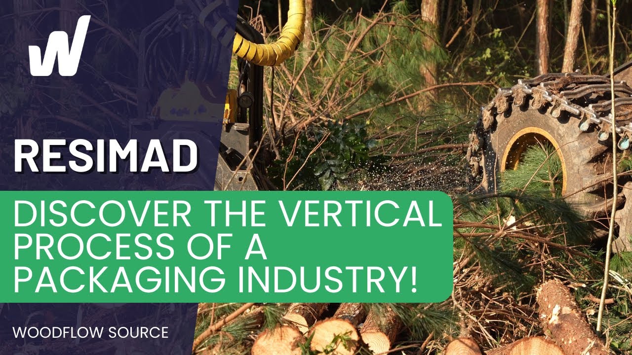 From Forest to Sawmill: Resimad's Quality Wood Packaging Process