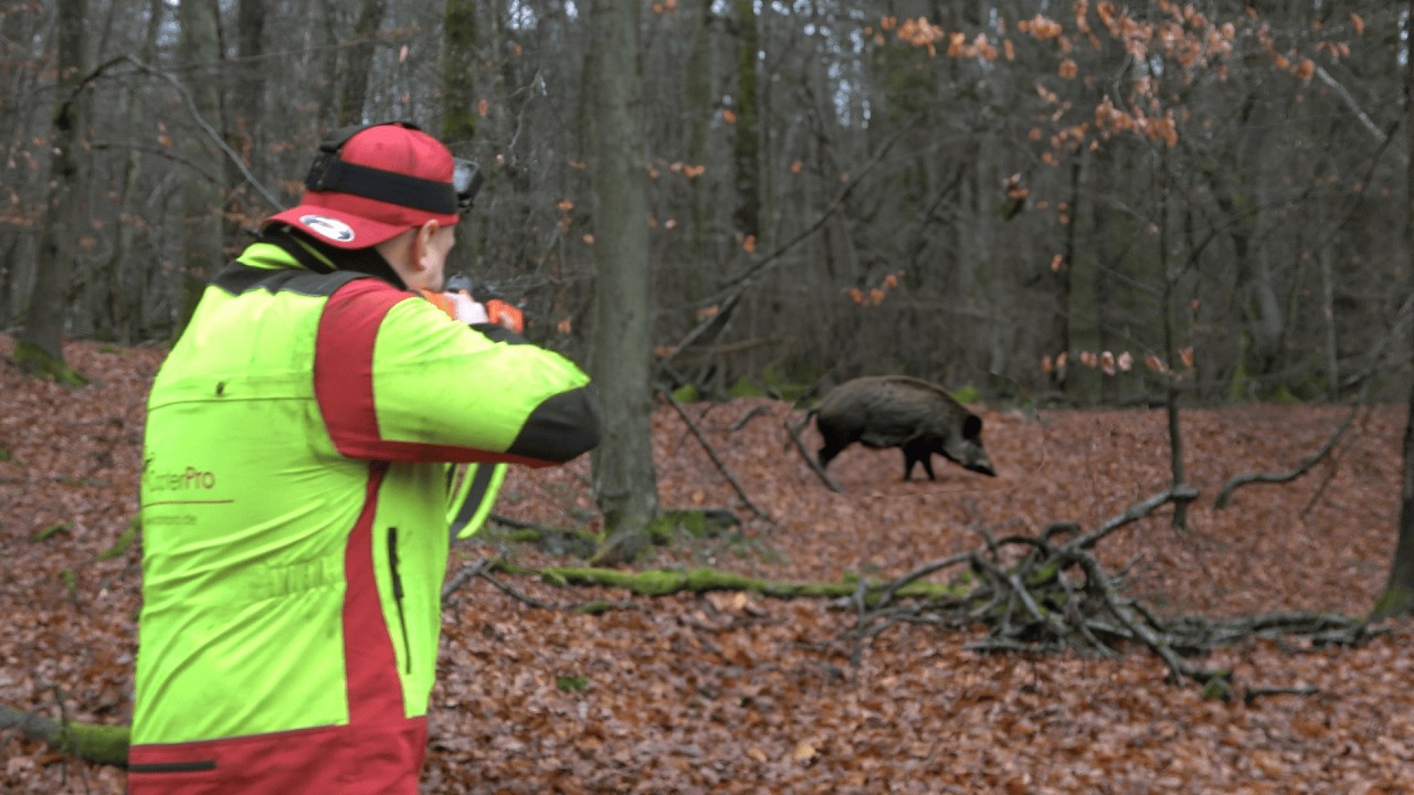 STARKER Keiler steckt sich! Dr&uuml;ckjagd auf Sauen im Dauerregen! (DJI Matrice 4T)