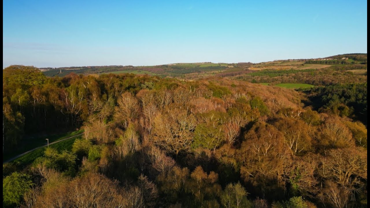 Soaring Through Strother Hills: A 4K Aerial Exploration of Nature and History