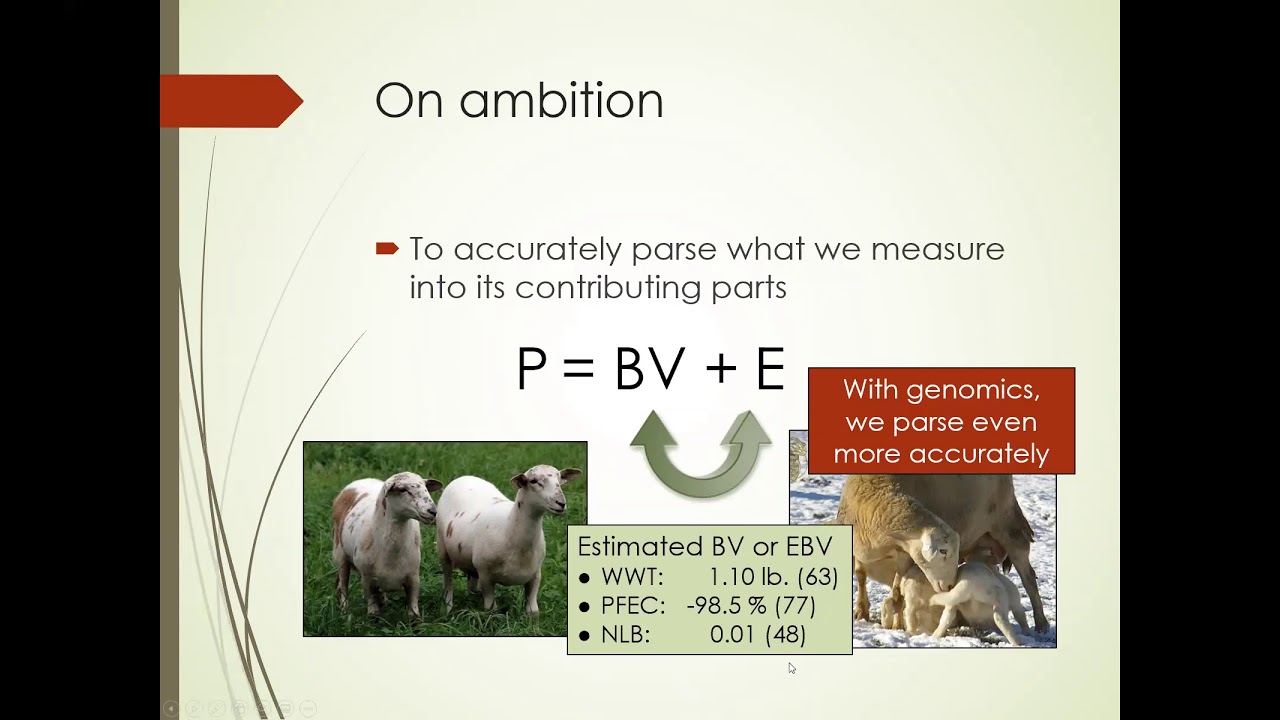 What Are Genomic-Enhanced Estimated Breeding Values?