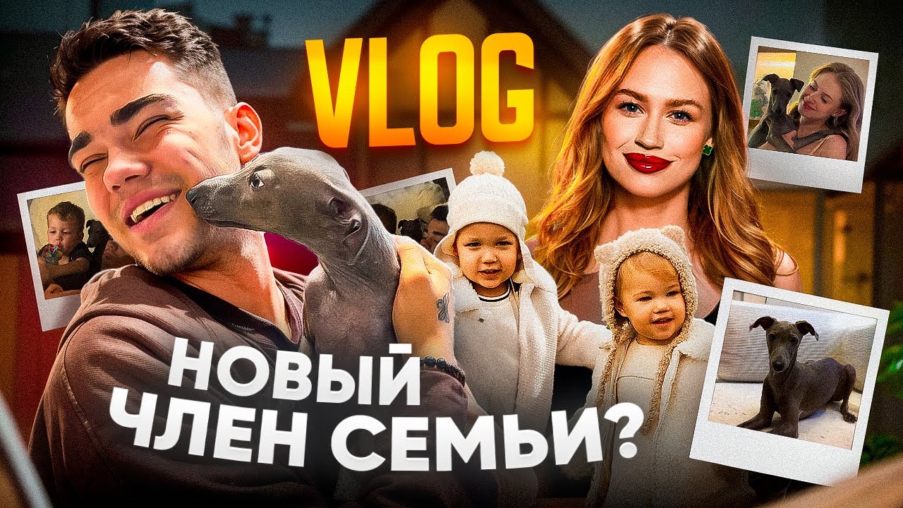 VLOG | НОВЫЙ ЧЛЕН СЕМЬИ?
