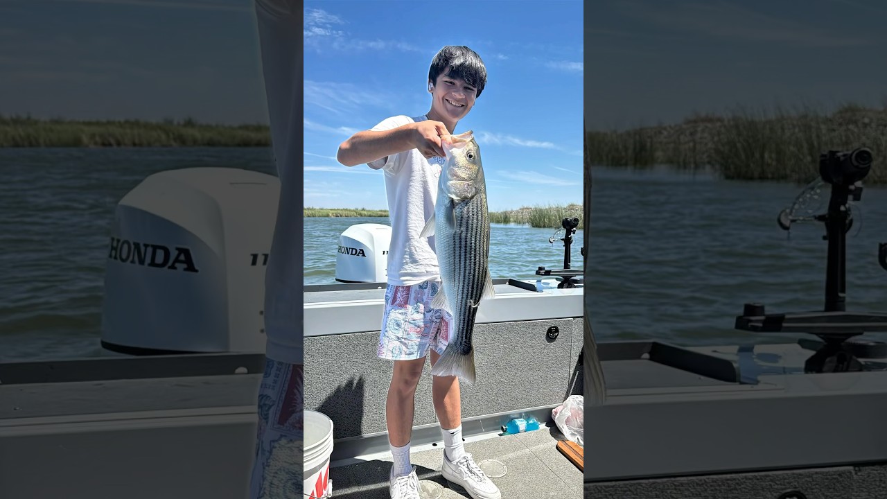 Back On the DELTA | Catching Stripers 