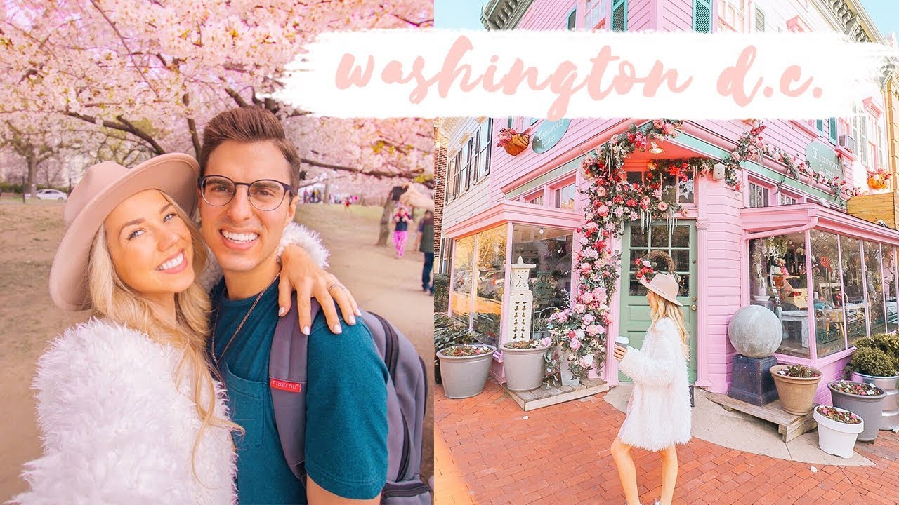 WASHINGTON D.C. TRAVEL DIARY! ✨